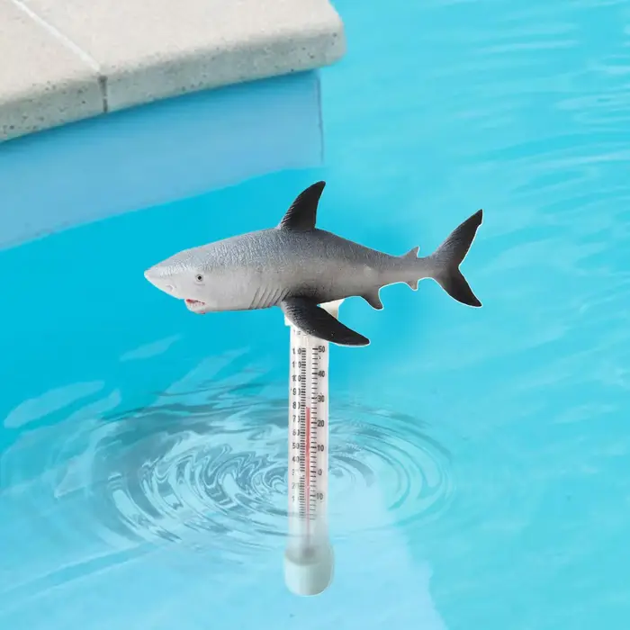 Thermomètre de piscine